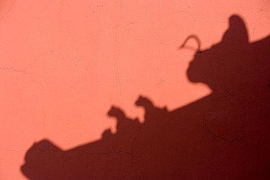 小小大星球工作室新作更偏重游戏性而非创意工具